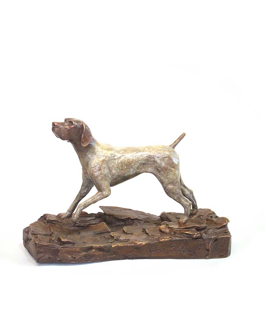 Chris Bladen German Shorthaired Pointer